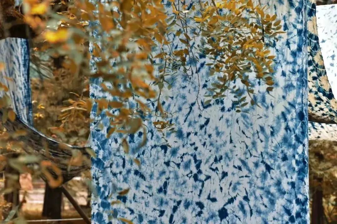 1675661923886010ytTL.jpg
