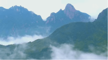 1675665467537648heM3.gif