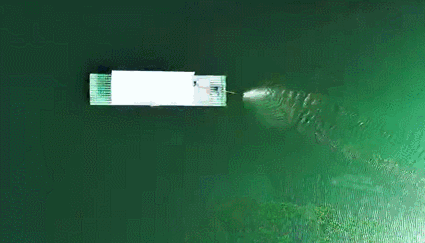 1675666746462706TfcG.gif