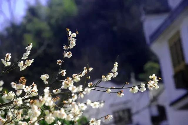 1676509975911508Wiq8.jpg