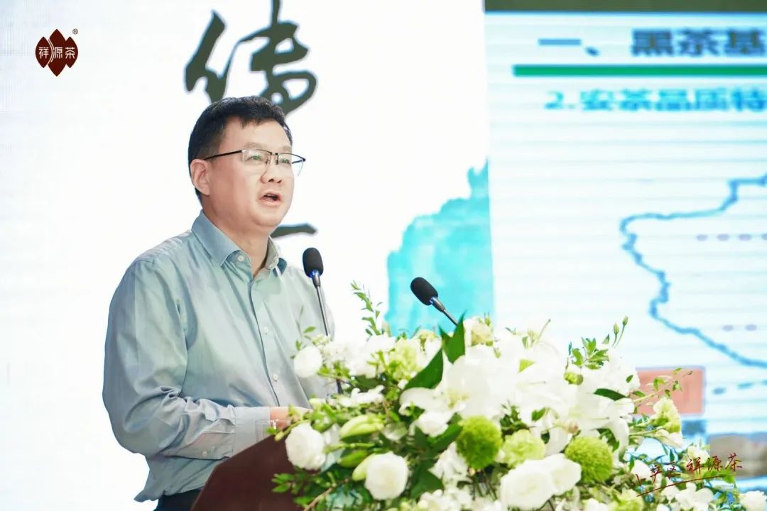 1697162068387818X4ml.jpg
