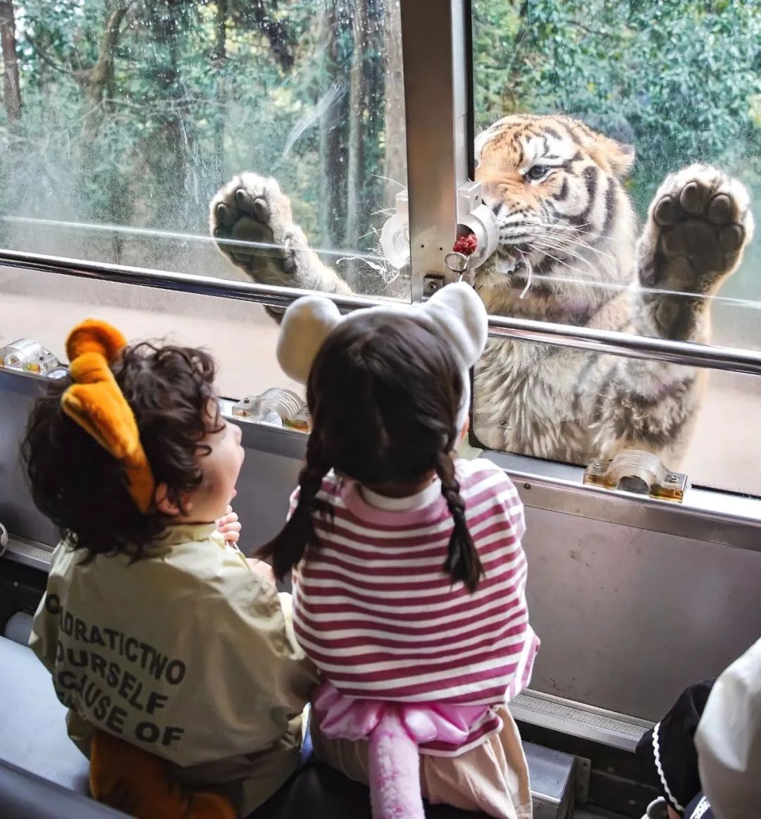 野生動物投喂.jpg