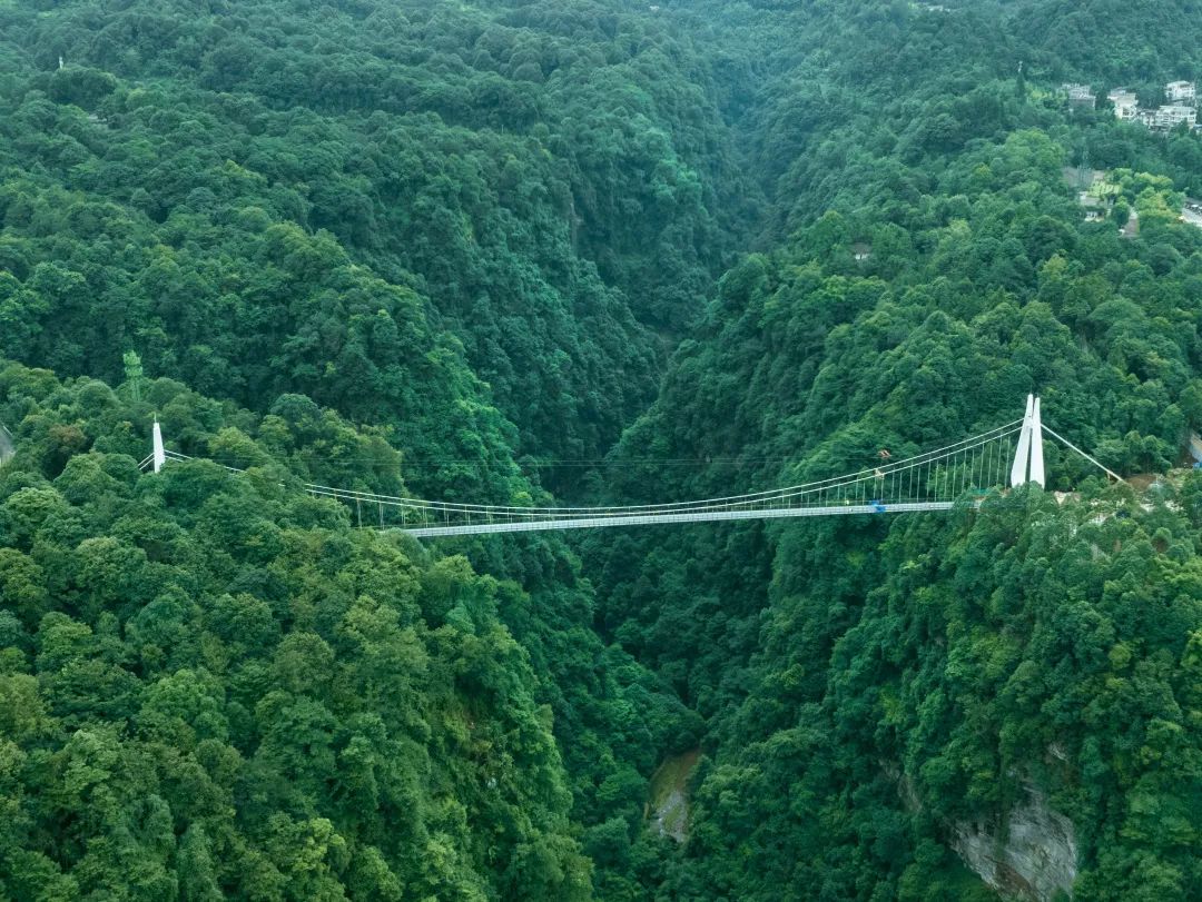空中廊橋2.jpg